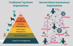 DAO生态全景图与元宇宙创新者YieldDAO