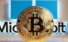 微软股东婉拒比特币，「加密强心剂」是否可持续？